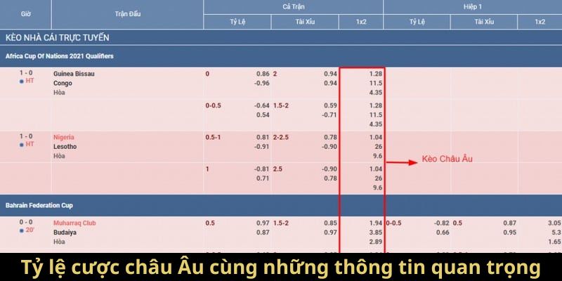 Tỷ lệ cược châu Âu cùng những thông tin quan trọng